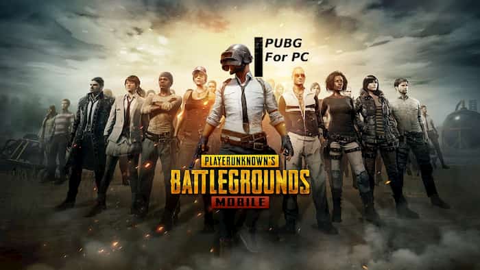 Pubg Mobile For Pc Free Download Gameshunters