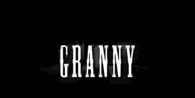 download Granny for pc