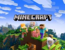 Minecraft Blog Play Free EN 11